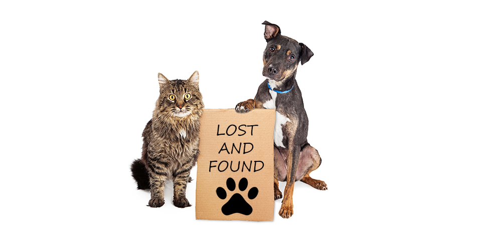 lost-found-pets